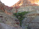 photo thumbnail #14