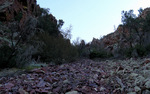photo thumbnail #2