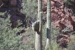 photo thumbnail #1