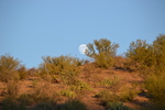 photo thumbnail #4