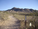 photo thumbnail #8