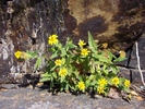photo thumbnail #6