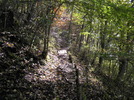 photo thumbnail #6