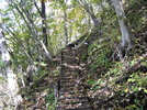 photo thumbnail #7