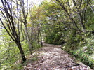 photo thumbnail #12