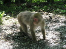 photo thumbnail #13