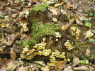 photo thumbnail #4