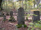 photo thumbnail #14