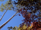 photo thumbnail #8