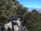 photo thumbnail #11