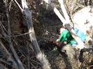 photo thumbnail #7