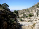 photo thumbnail #9