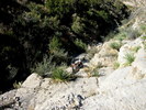 photo thumbnail #11