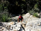 photo thumbnail #12
