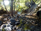 photo thumbnail #13