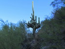 photo thumbnail #5