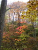 photo thumbnail #13