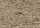photo thumbnail #11