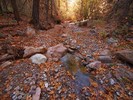 photo thumbnail #5