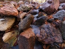 photo thumbnail #10