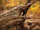 photo thumbnail #14
