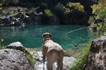 photo thumbnail #10