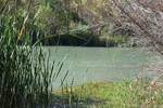photo thumbnail #13