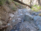 photo thumbnail #4
