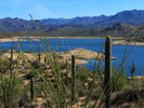 photo thumbnail #4