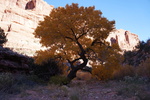 photo thumbnail #9