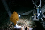photo thumbnail #12
