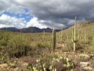 photo thumbnail #8