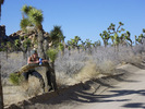 photo thumbnail #7
