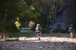 photo thumbnail #4