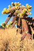 photo thumbnail #2
