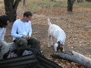 photo thumbnail #3