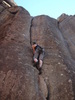 photo thumbnail #2