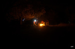 photo thumbnail #12