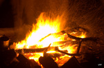photo thumbnail #14