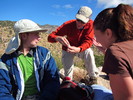 photo thumbnail #4
