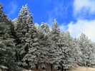 photo thumbnail #8