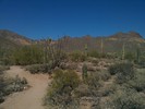 photo thumbnail #1