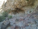 photo thumbnail #8