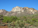 photo thumbnail #7