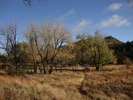 photo thumbnail #7