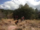 photo thumbnail #10