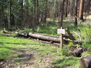 photo thumbnail #3