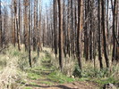 photo thumbnail #4