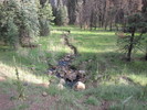 photo thumbnail #6