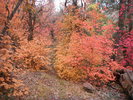 photo thumbnail #13